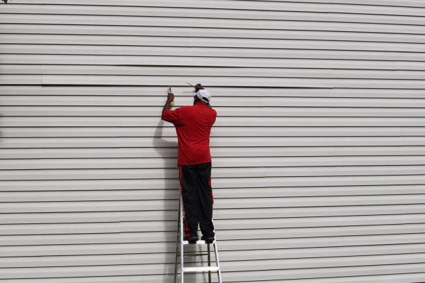 Best Custom Trim and Detailing for Siding  in Ford Heights, IL